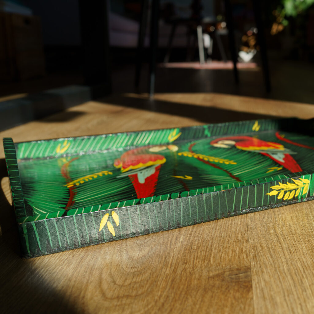 Hand-Painted Tropical Macaws Wooden Tray - side view