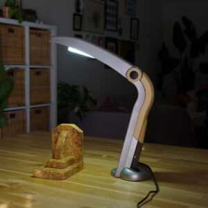 H.T. Huang 'Toucan' Lamp - turned on lamp 2